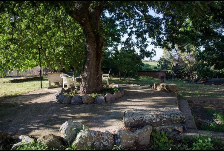 Favoloso Appartamento In Villa Monterosi エクステリア 写真