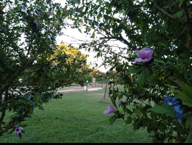 Favoloso Appartamento In Villa Monterosi エクステリア 写真