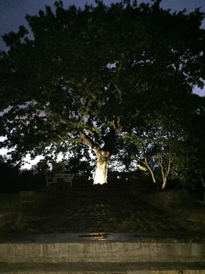 Favoloso Appartamento In Villa Monterosi エクステリア 写真