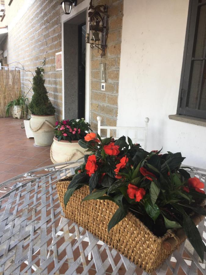 Favoloso Appartamento In Villa Monterosi エクステリア 写真