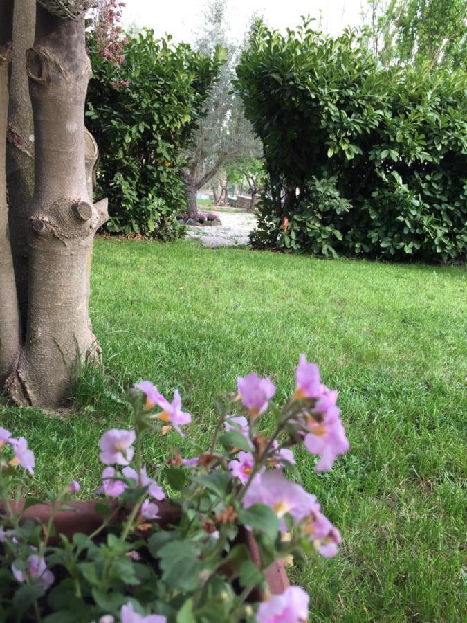Favoloso Appartamento In Villa Monterosi エクステリア 写真
