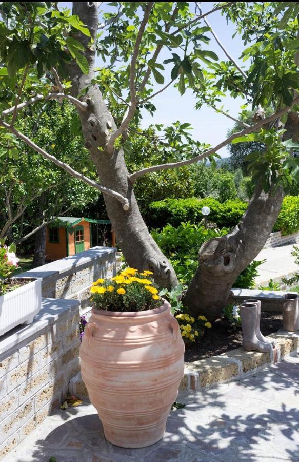 Favoloso Appartamento In Villa Monterosi エクステリア 写真