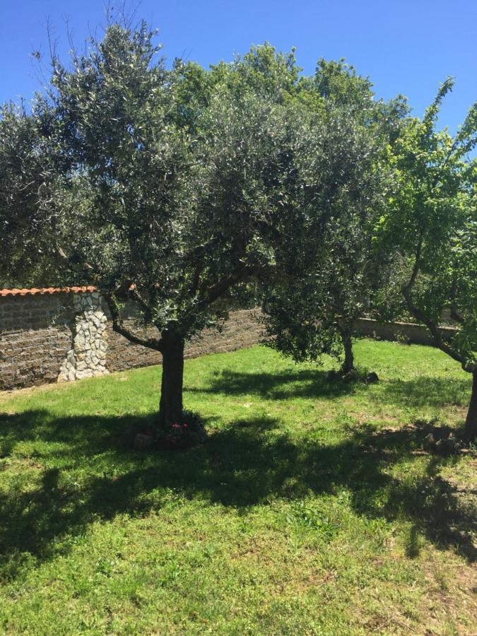 Favoloso Appartamento In Villa Monterosi エクステリア 写真